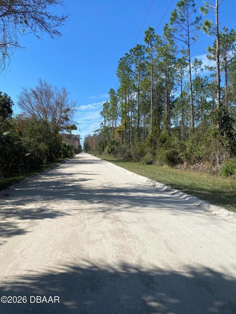 820 OLD BUBBLY RD, PIERSON, FL, 32180