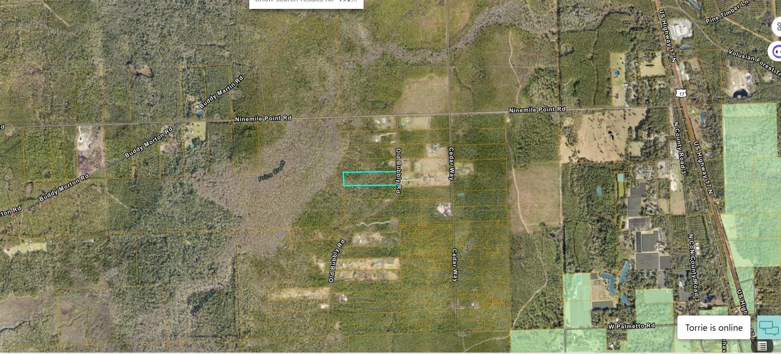 820 OLD BUBBLY RD, PIERSON, FL, 32180