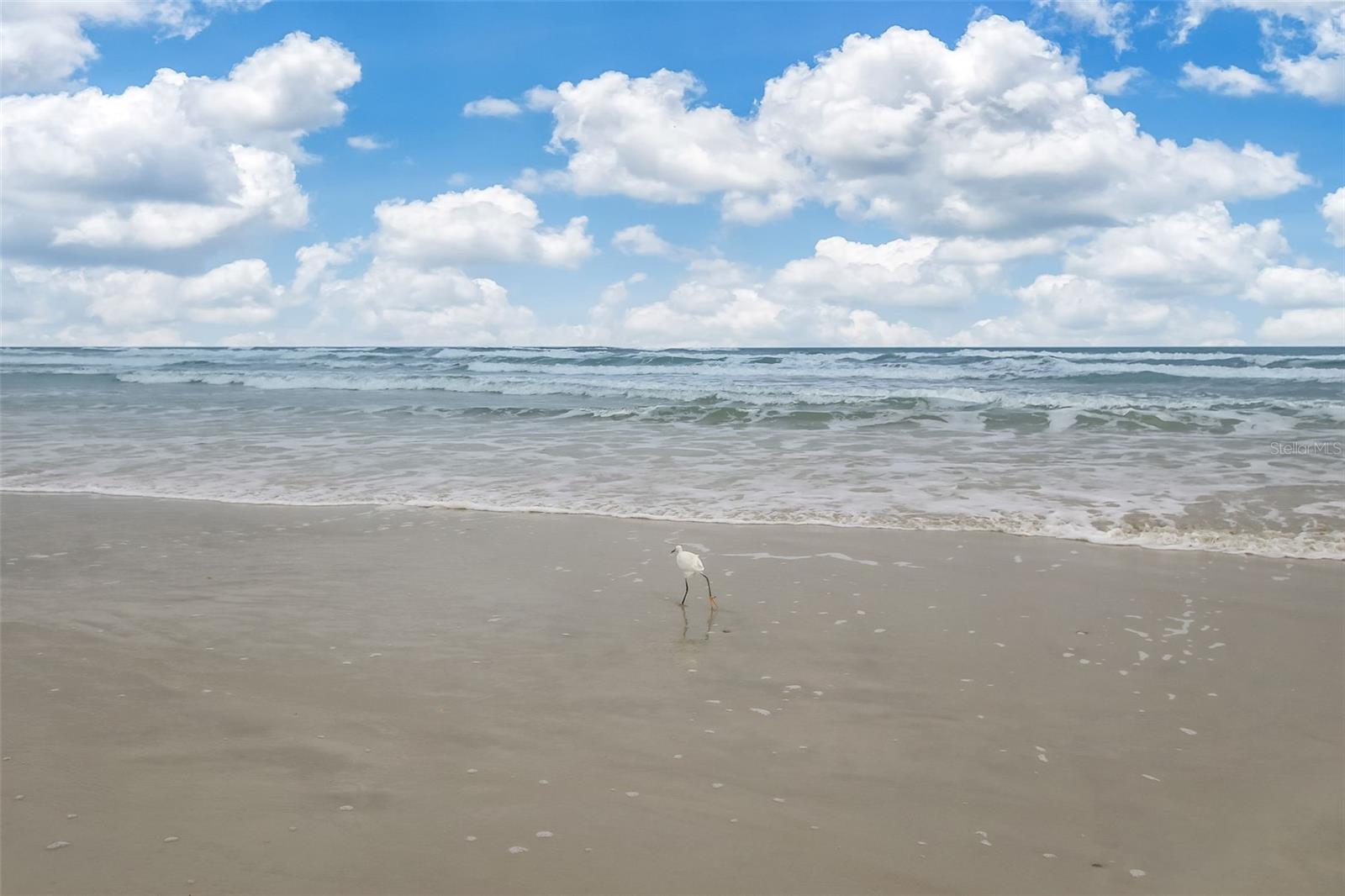6300 S A1A #A5 1U, ST AUGUSTINE, FL, 32080
