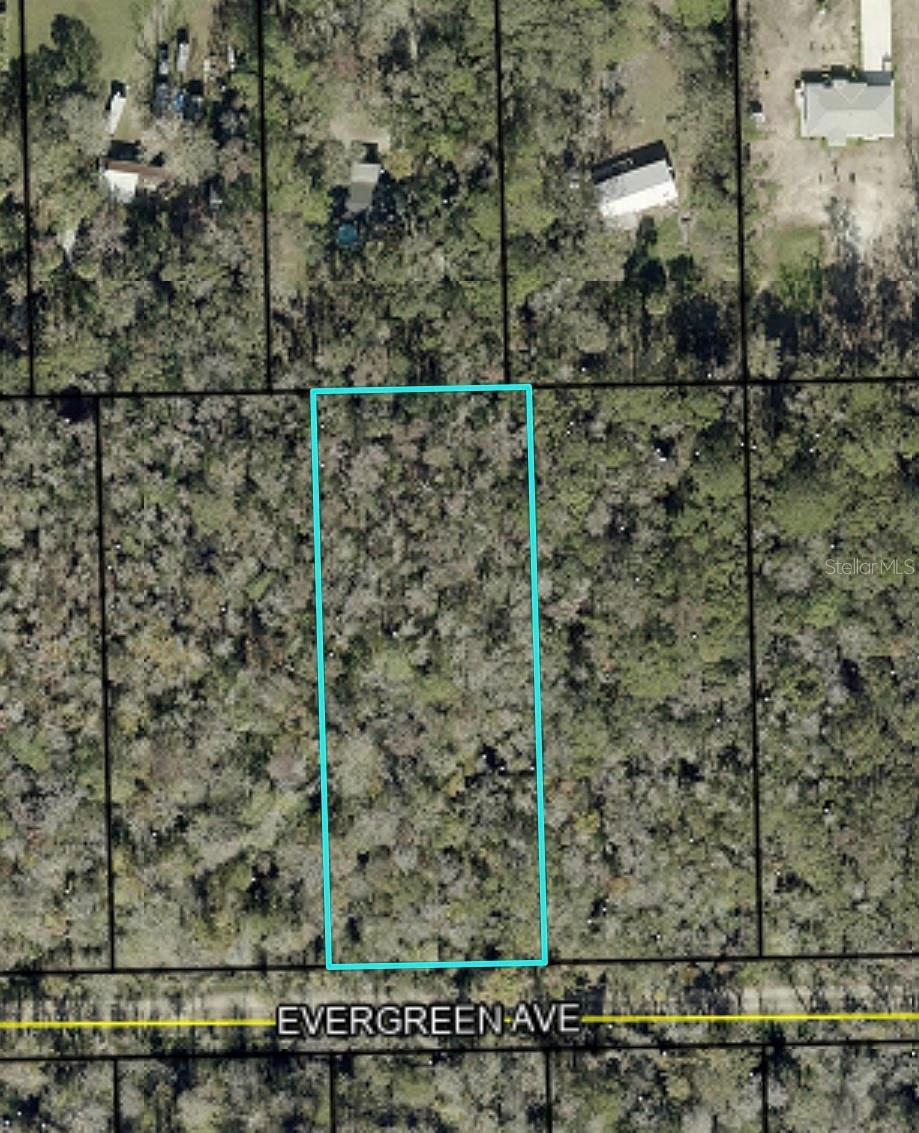 3740 EVERGREEN AVE, BUNNELL, FL, 32110