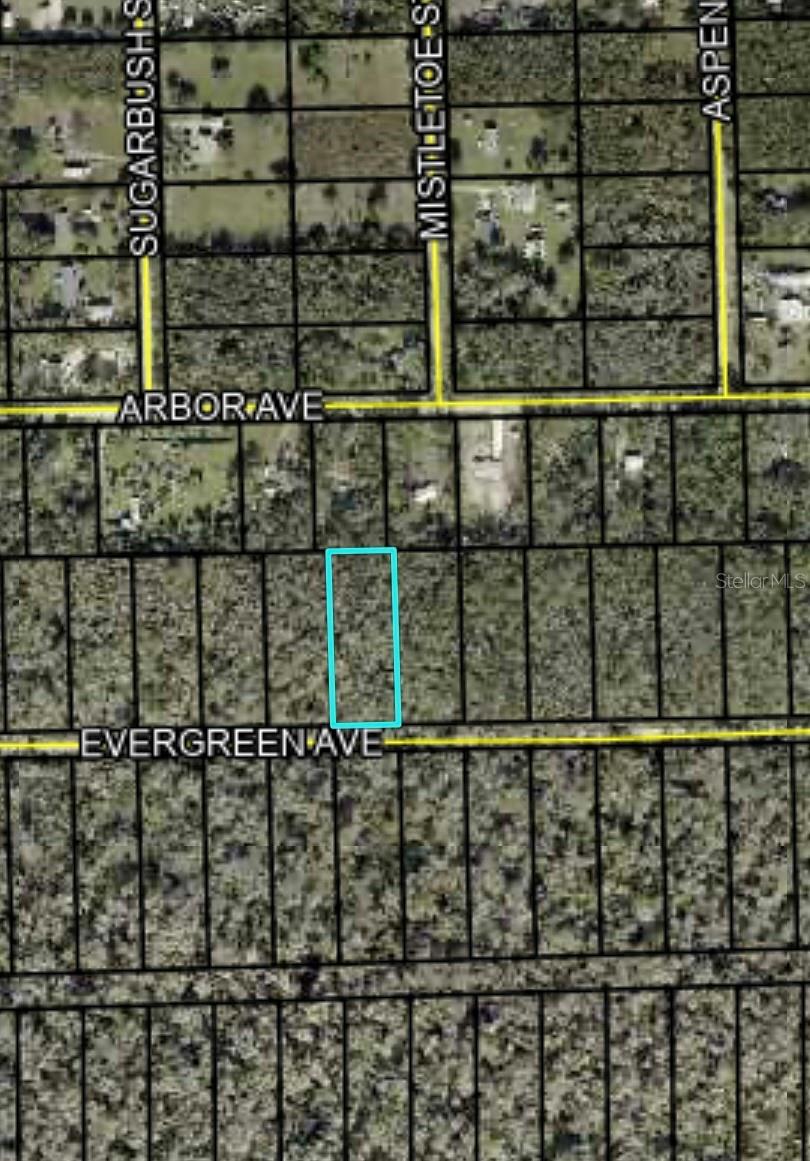 3740 EVERGREEN AVE, BUNNELL, FL, 32110