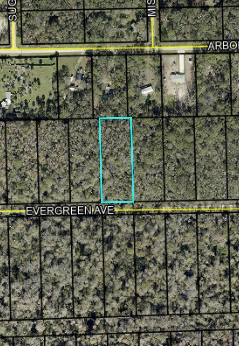 3740 EVERGREEN AVE, BUNNELL, FL, 32110