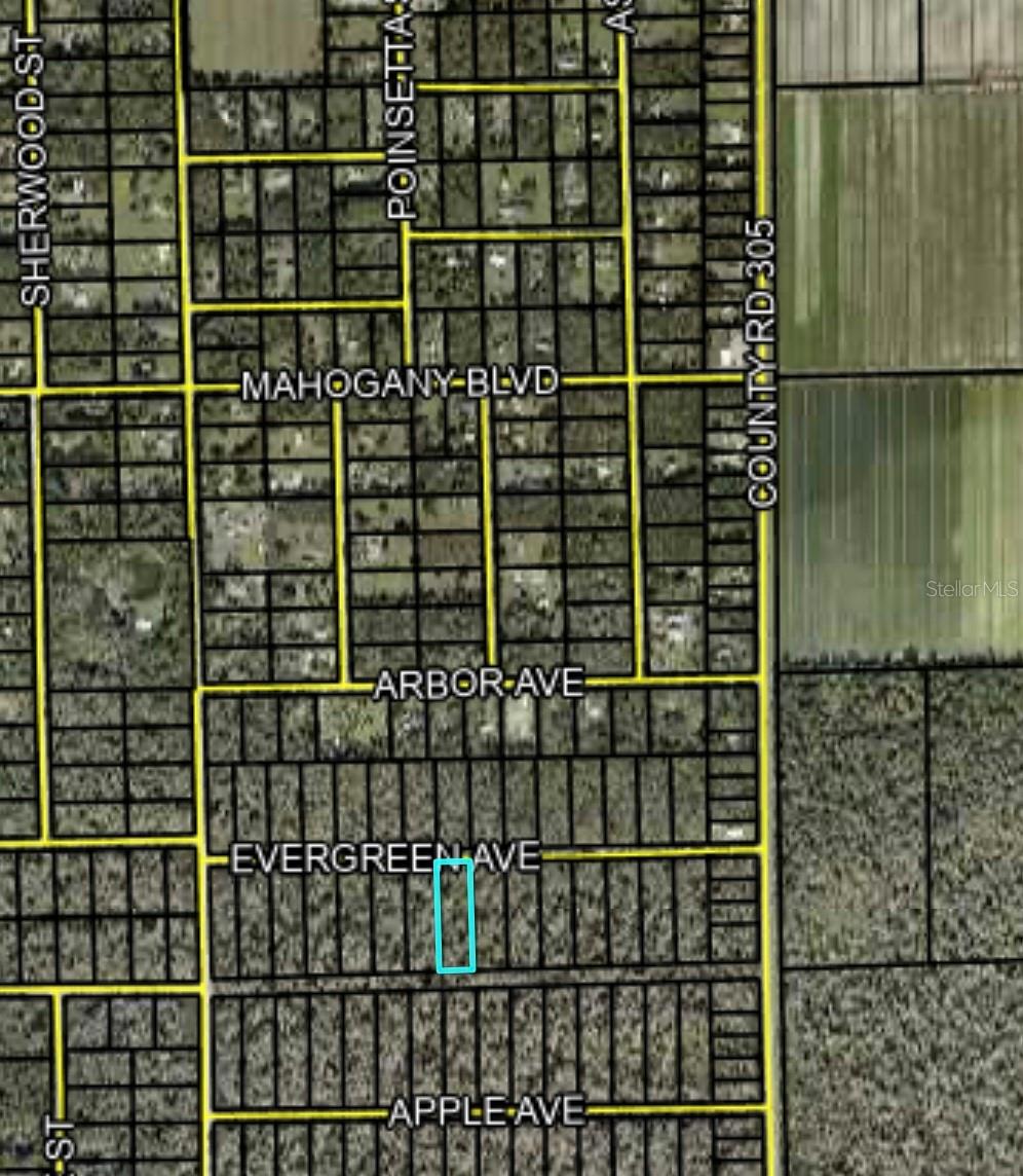 3741 EVERGREEN AVE, BUNNELL, FL, 32110