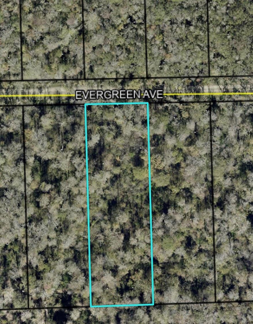 3741 EVERGREEN AVE, BUNNELL, FL, 32110
