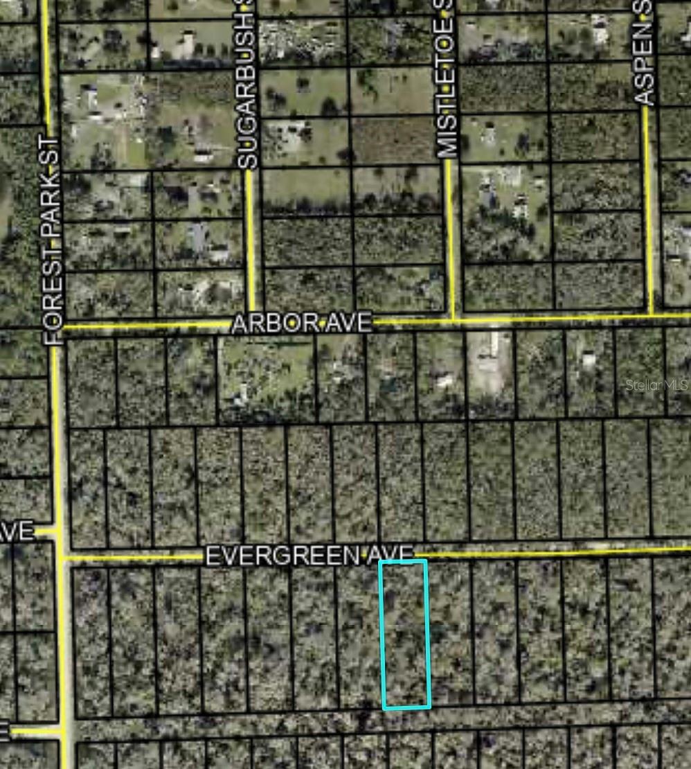 3741 EVERGREEN AVE, BUNNELL, FL, 32110