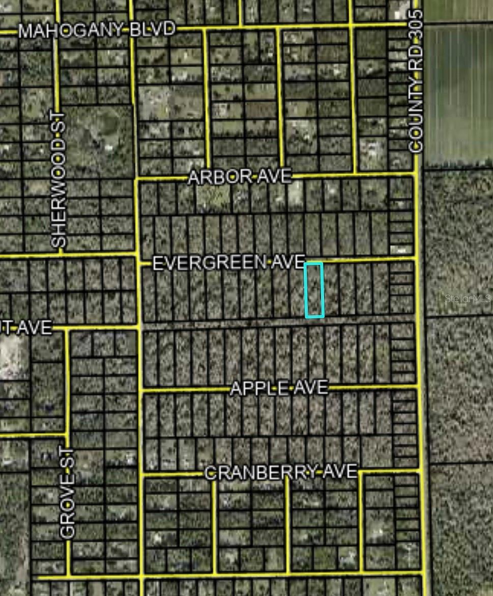 3655 EVERGREEN AVE, BUNNELL, FL, 32110