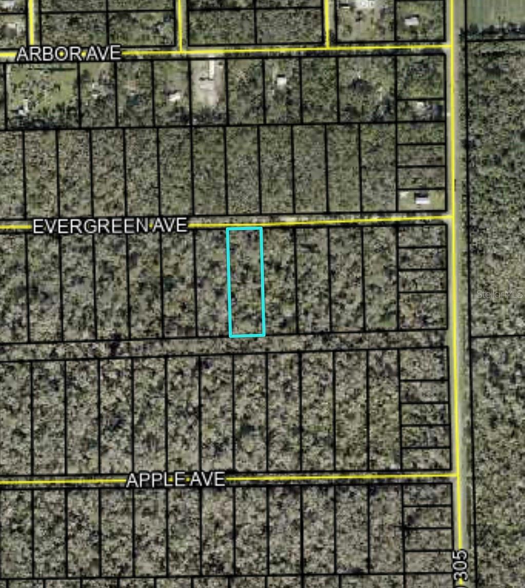 3655 EVERGREEN AVE, BUNNELL, FL, 32110