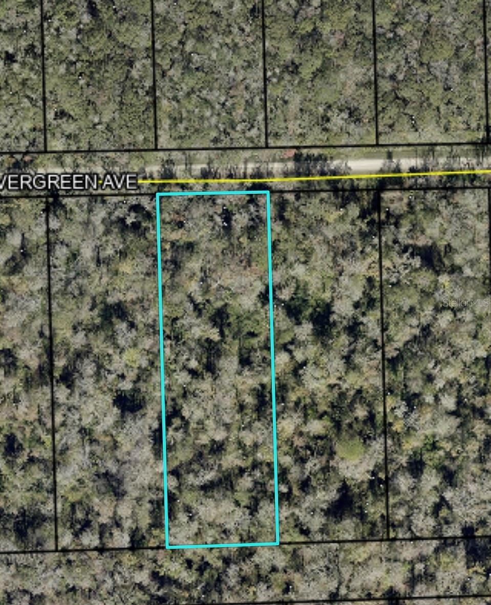 3655 EVERGREEN AVE, BUNNELL, FL, 32110
