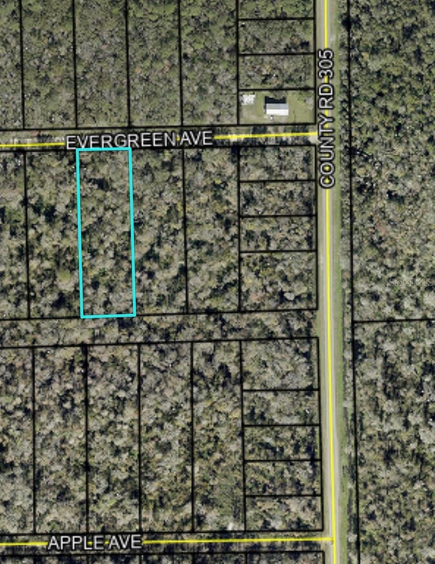 3599 EVERGREEN AVE, BUNNELL, FL, 32110