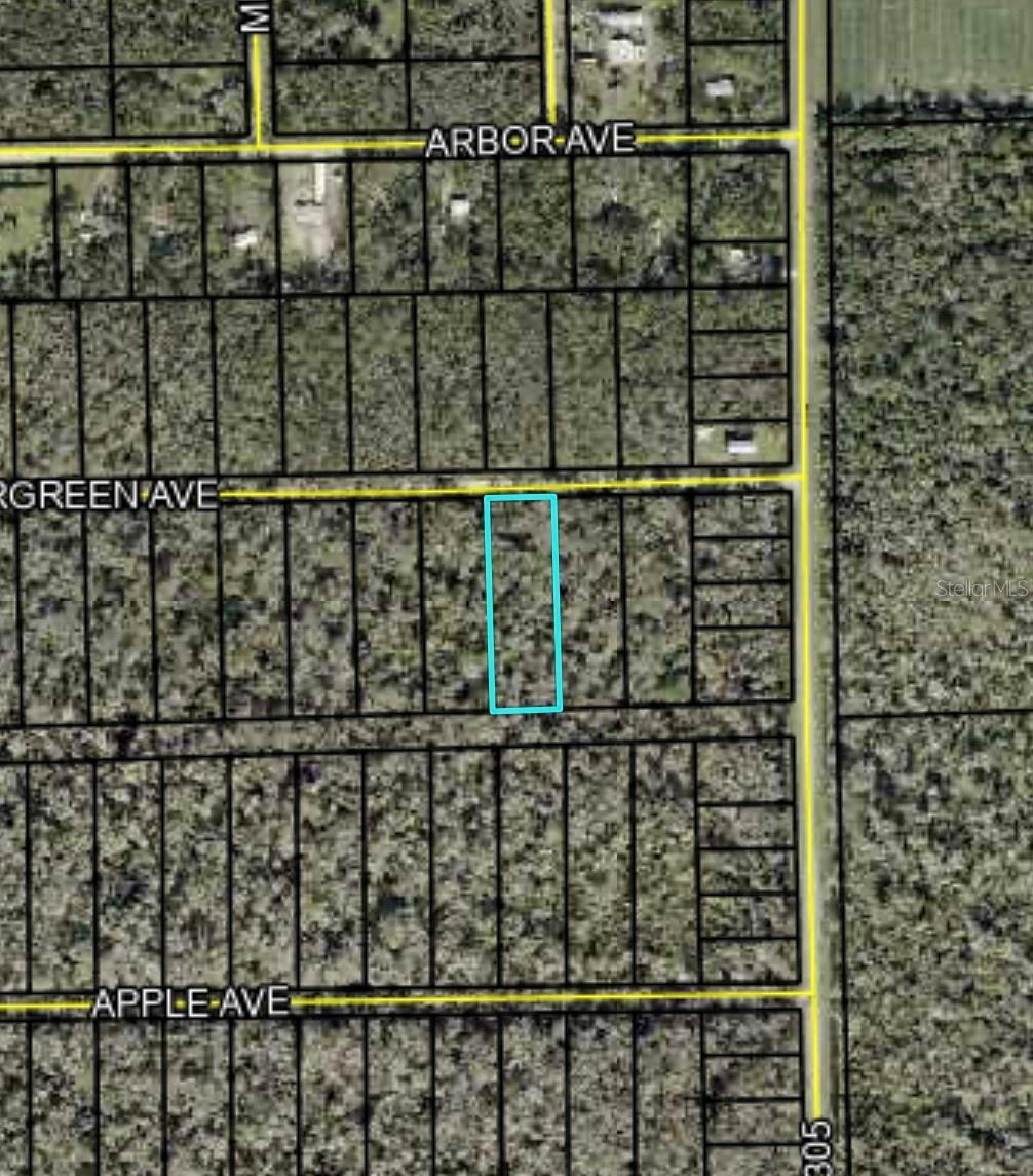 3599 EVERGREEN AVE, BUNNELL, FL, 32110