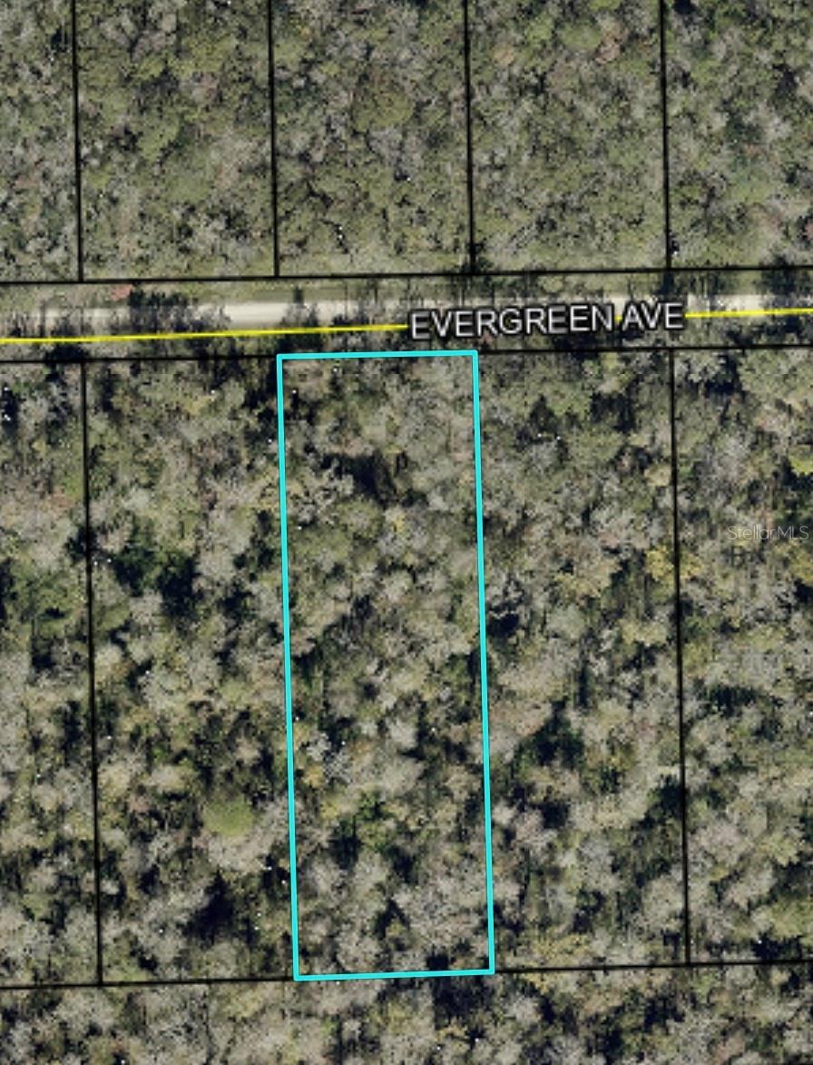 3599 EVERGREEN AVE, BUNNELL, FL, 32110