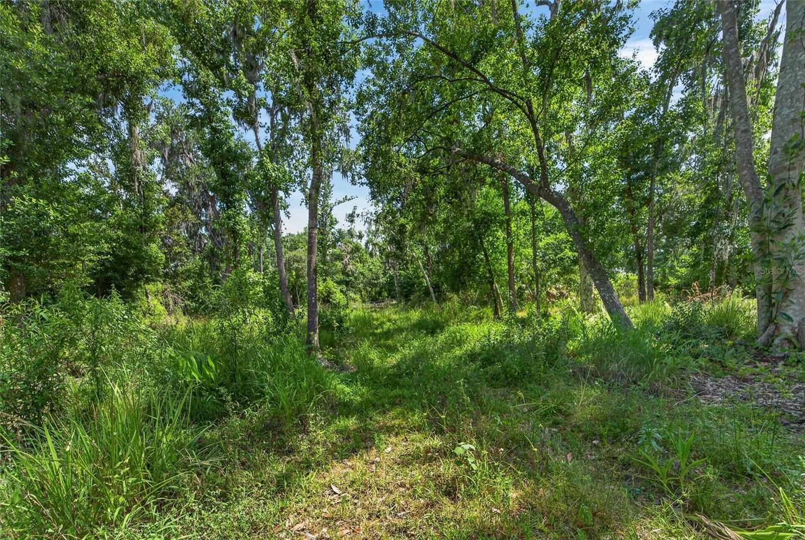 672 HWY, LITHIA, FL, 33547