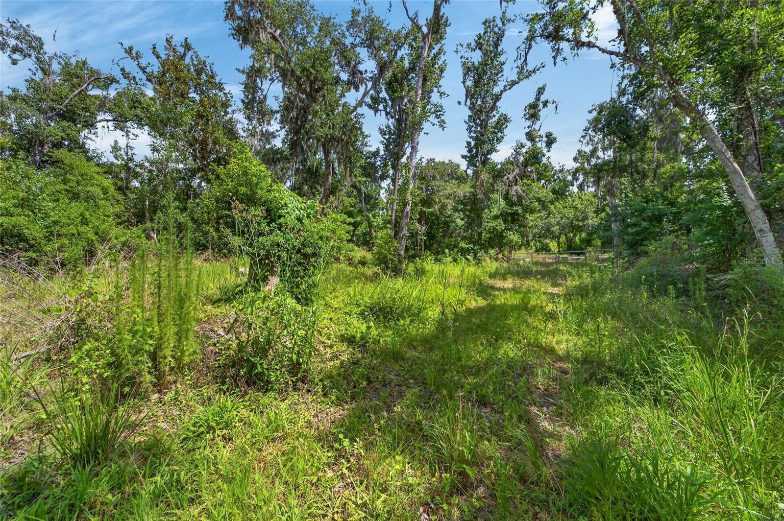 672 HWY, LITHIA, FL, 33547