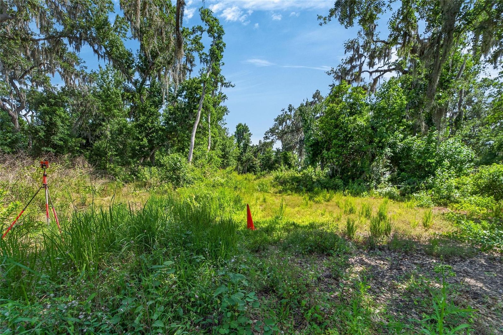 672 HWY, LITHIA, FL, 33547
