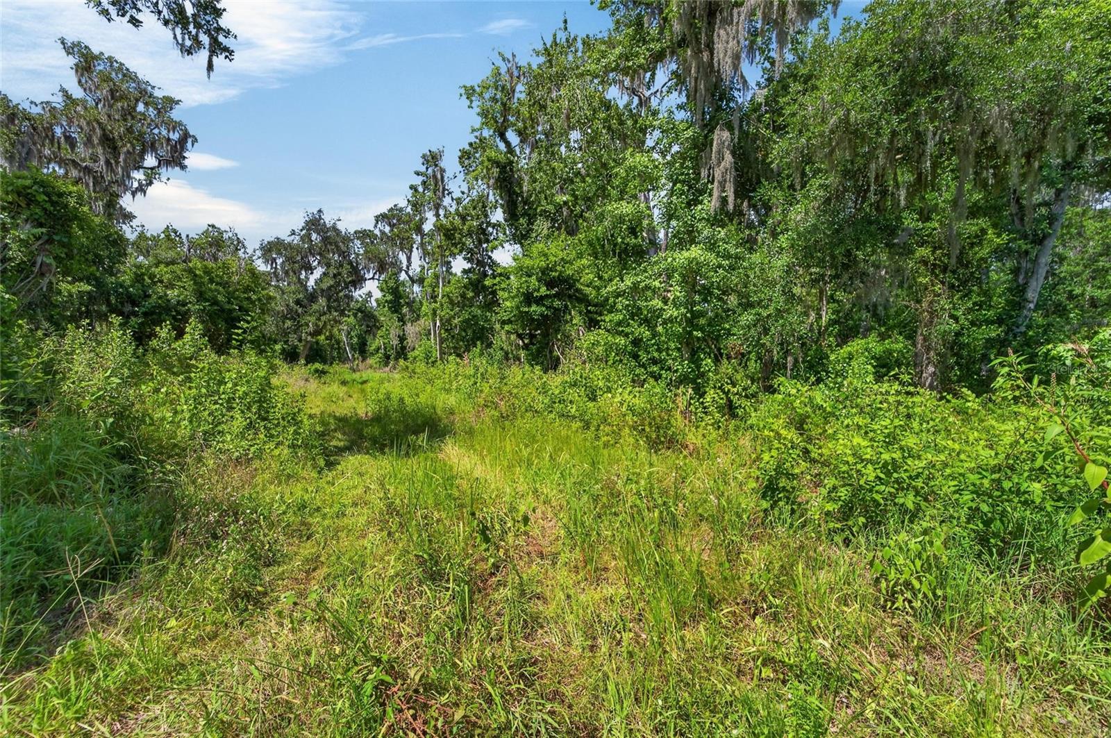 672 HWY, LITHIA, FL, 33547
