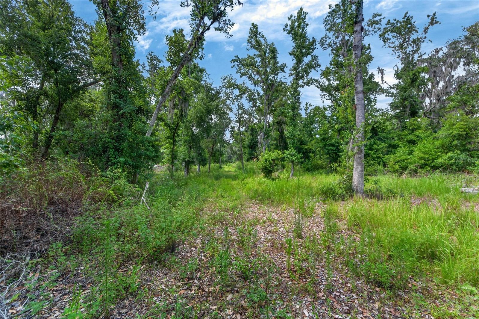 672 HWY, LITHIA, FL, 33547