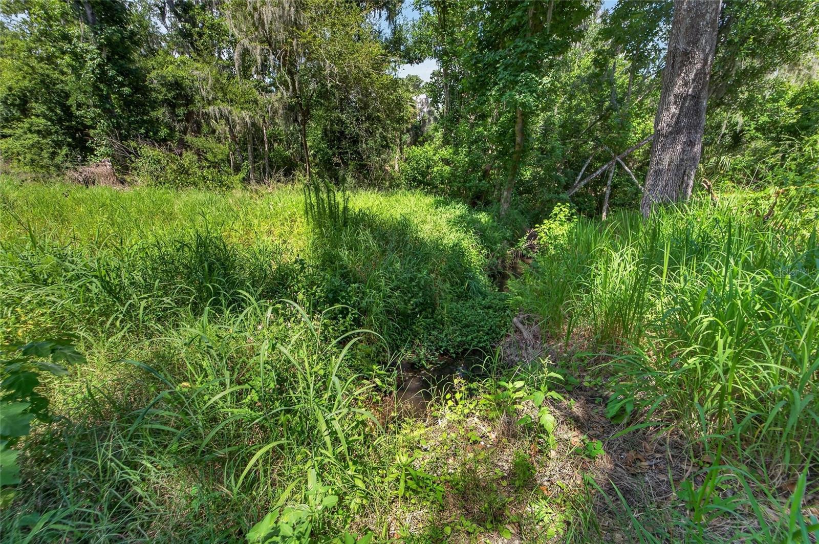 672 HWY, LITHIA, FL, 33547