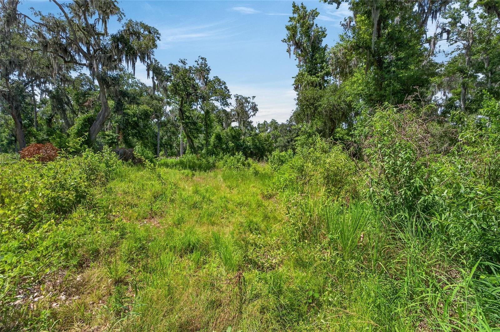672 HWY, LITHIA, FL, 33547