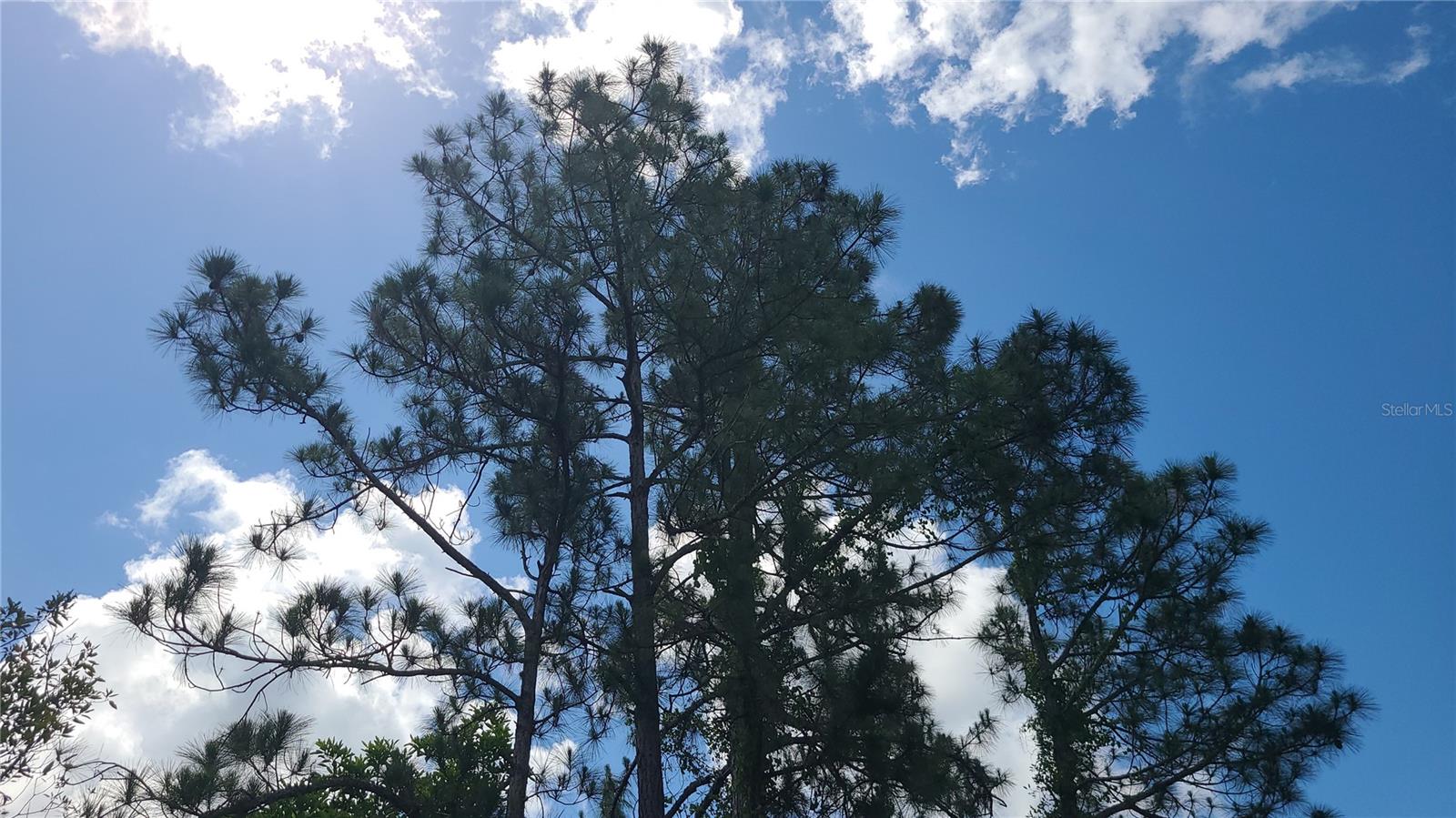 2575 BEAR RUN S, FROSTPROOF, FL, 33843