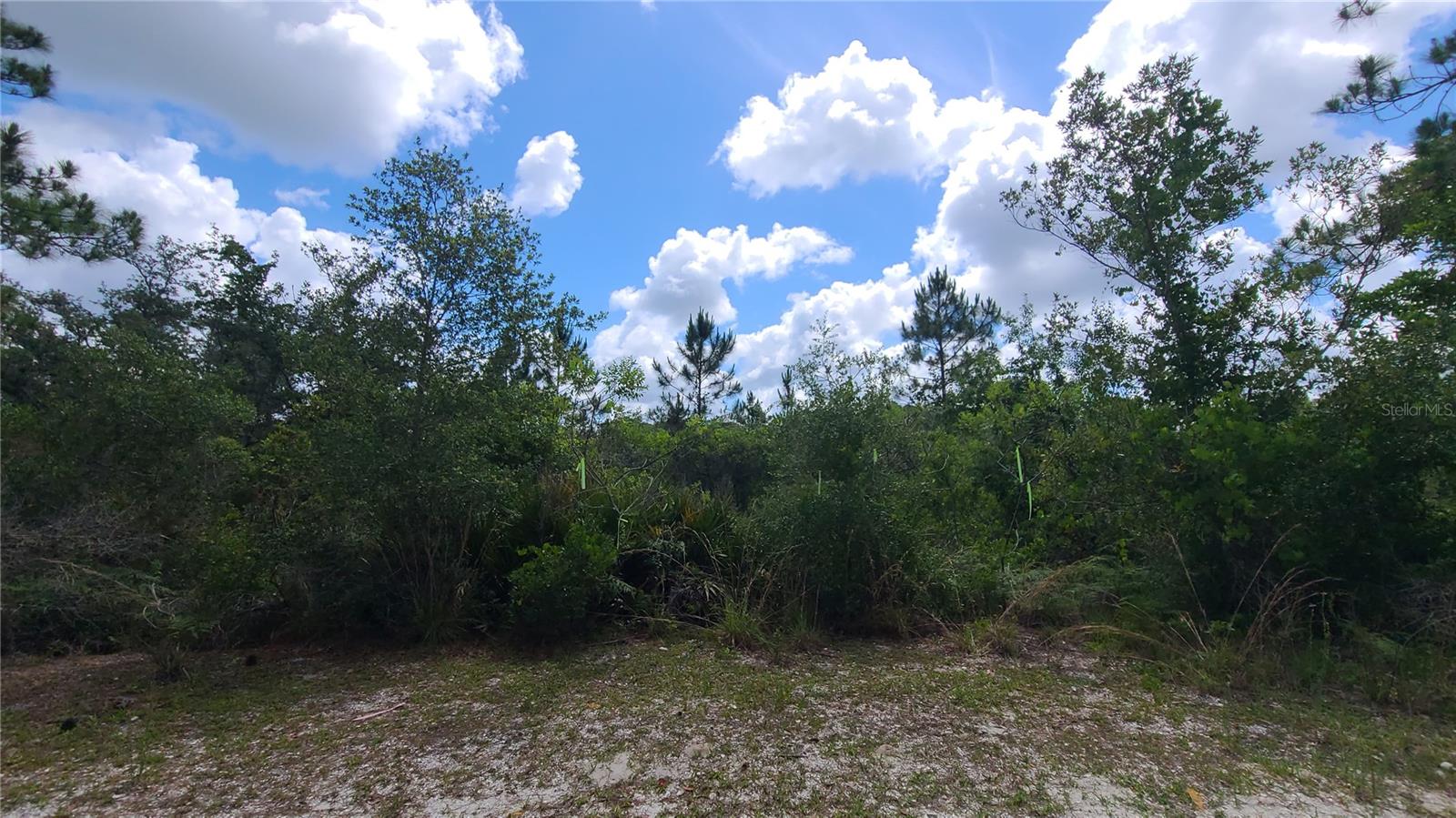 2575 BEAR RUN S, FROSTPROOF, FL, 33843