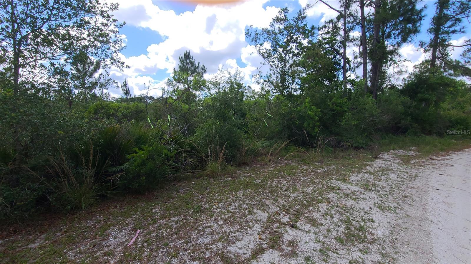 2575 BEAR RUN S, FROSTPROOF, FL, 33843