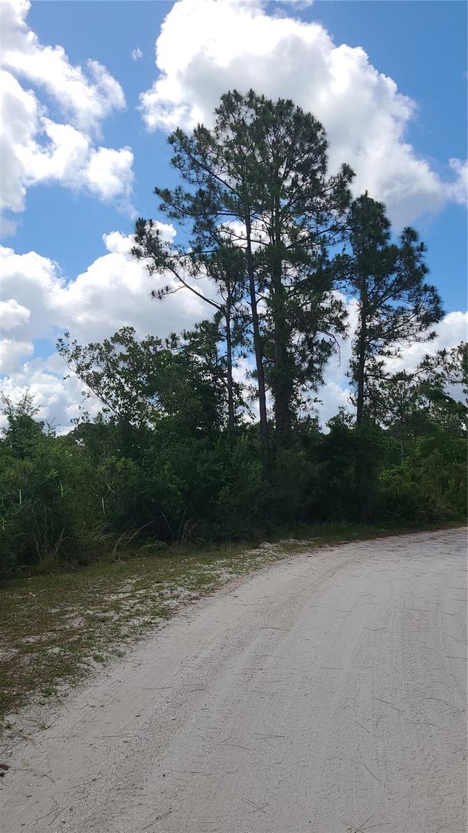 2575 BEAR RUN S, FROSTPROOF, FL, 33843