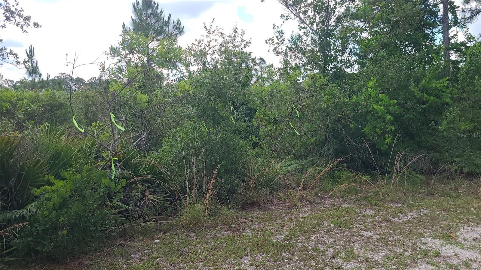 2575 BEAR RUN S, FROSTPROOF, FL, 33843