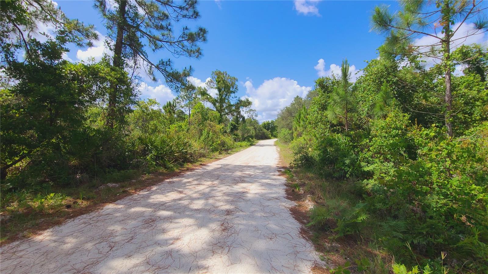 2575 BEAR RUN S, FROSTPROOF, FL, 33843