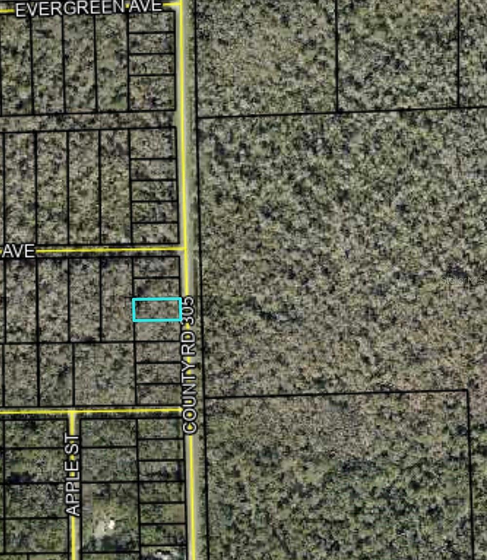 2166 CR-305, BUNNELL, FL, 32110