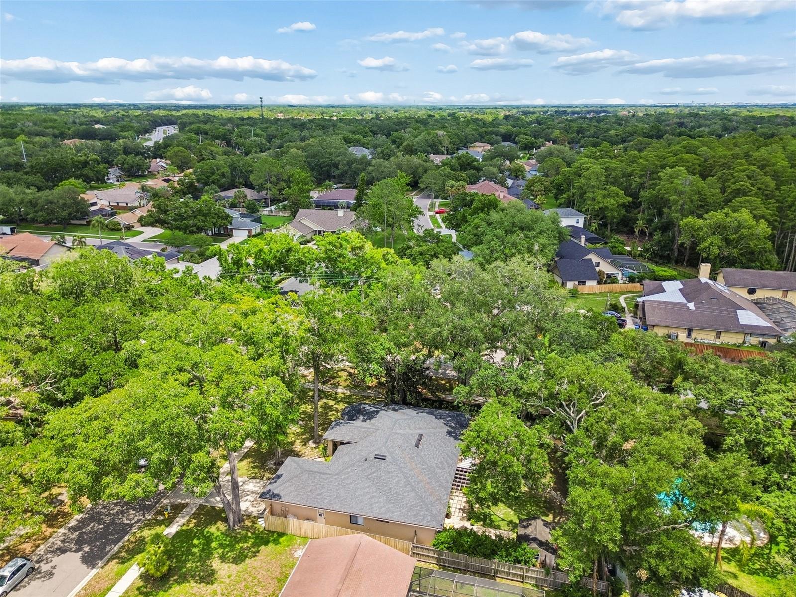 3602 ARLINGTON OAKS CT, TAMPA, FL, 33618