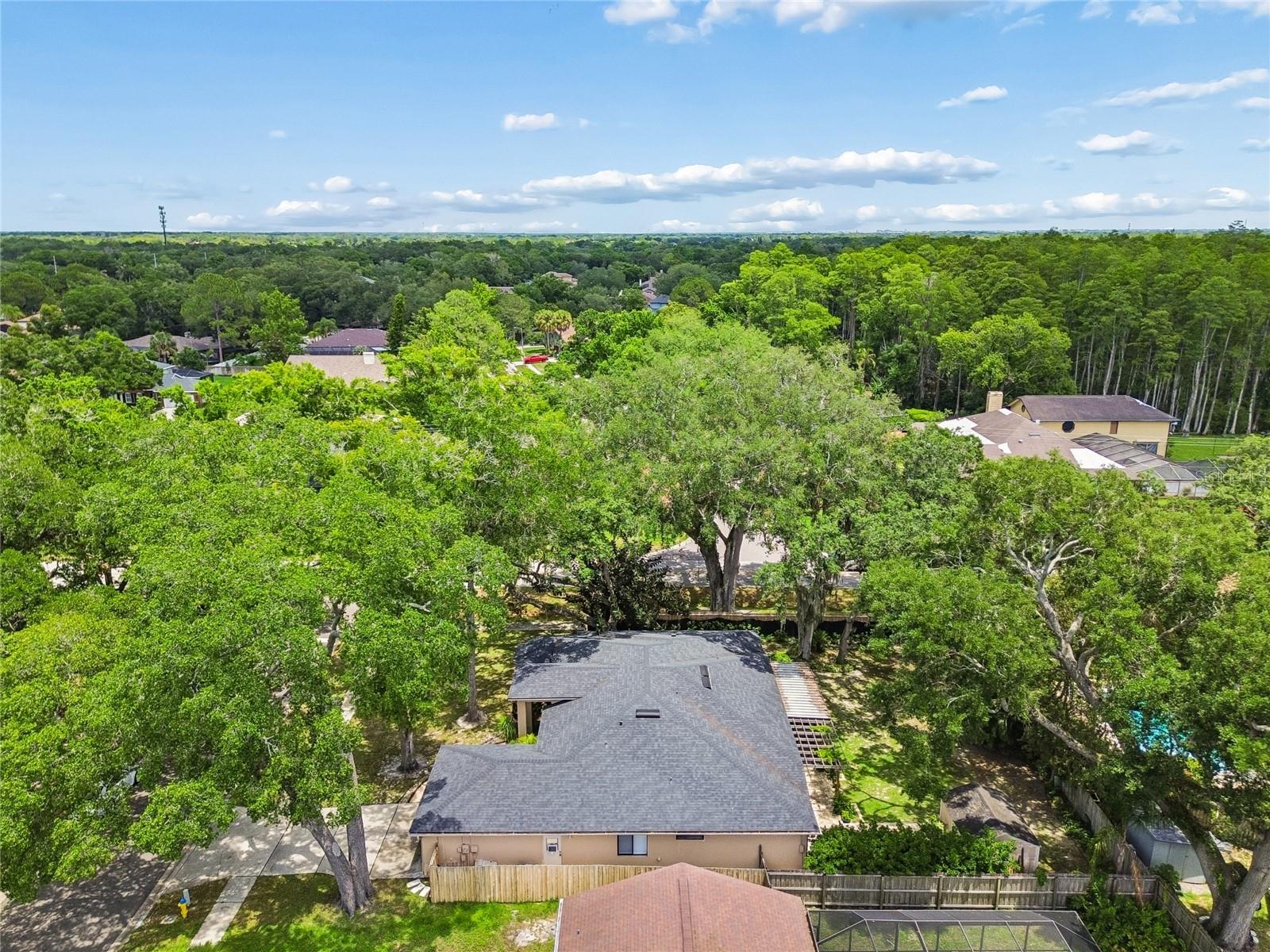 3602 ARLINGTON OAKS CT, TAMPA, FL, 33618
