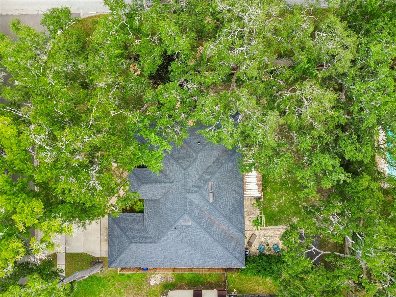 3602 ARLINGTON OAKS CT, TAMPA, FL, 33618