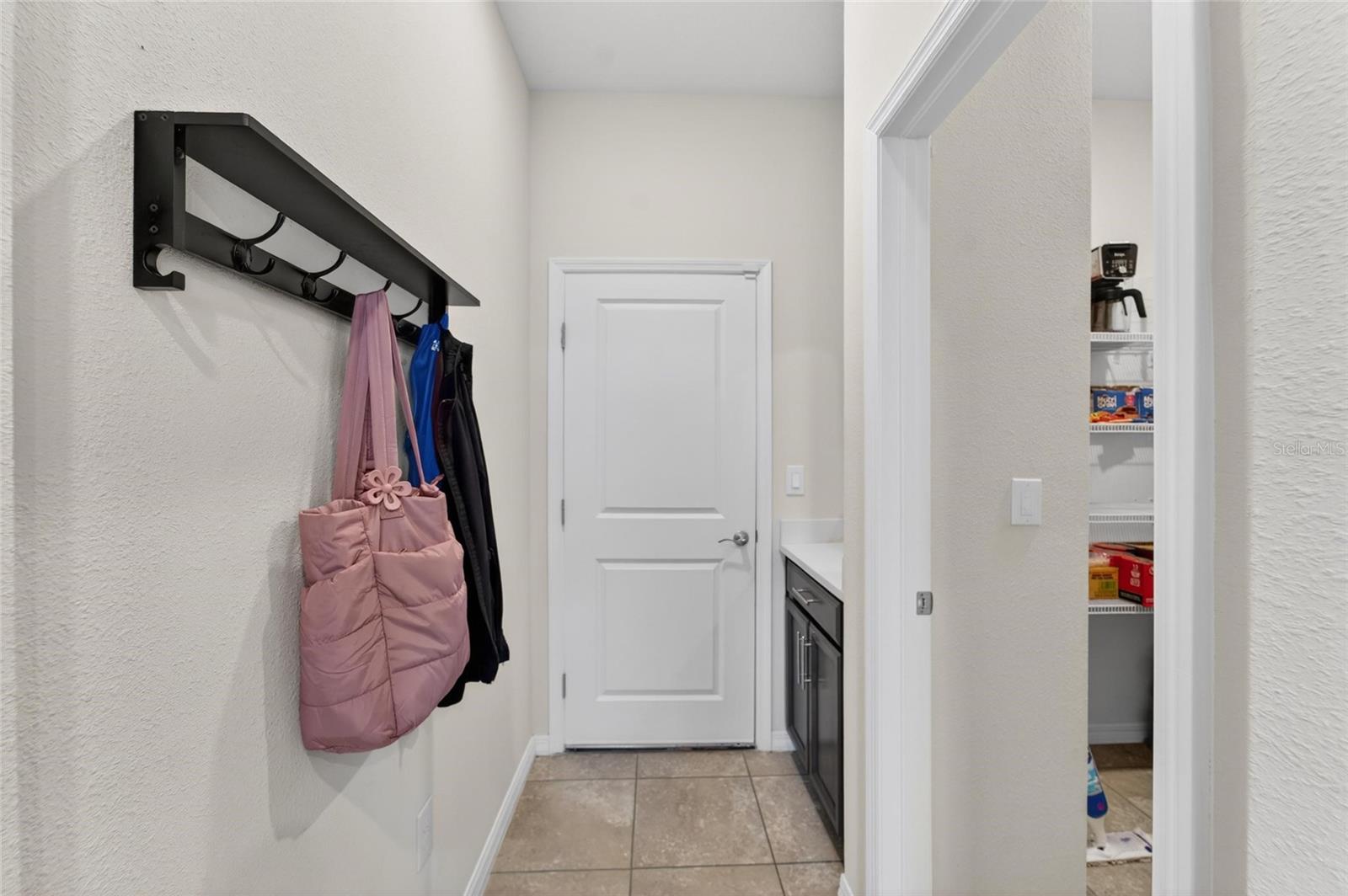 13519 PALMERA VISTA DR, RIVERVIEW, FL, 33579