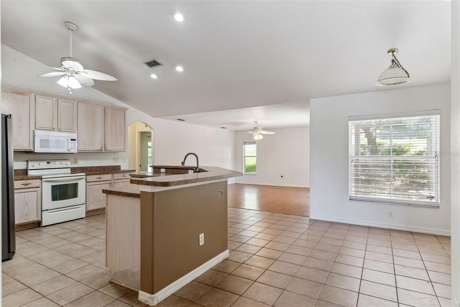 448 SHADY PINE CT, MINNEOLA, FL, 34715