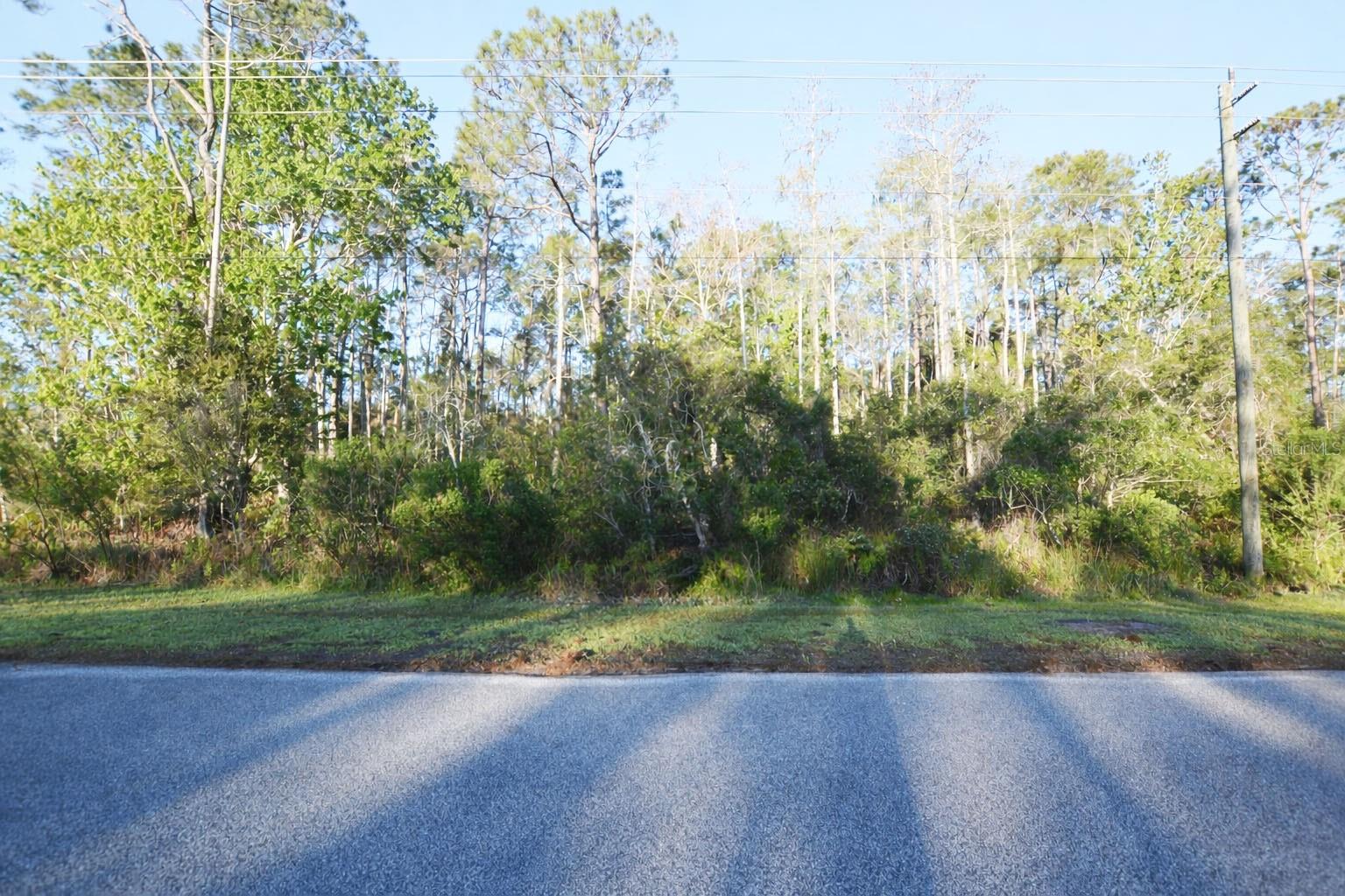 XXXX PINE LAKES PKWY, PALM COAST, FL, 32164