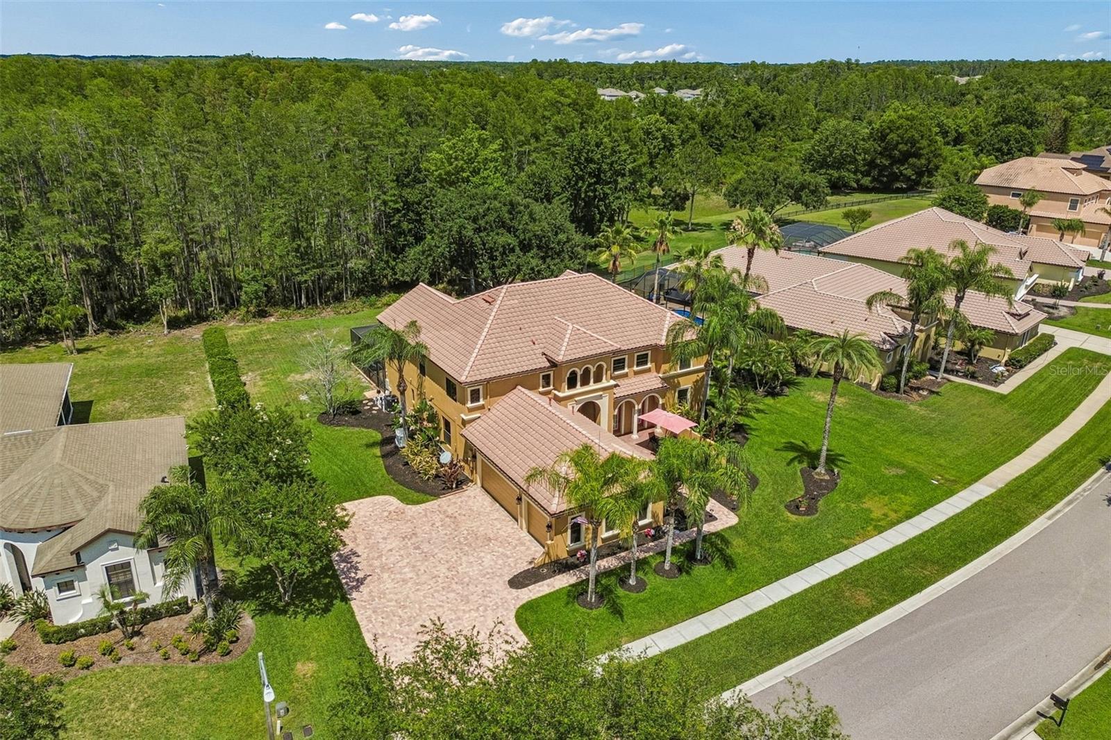 3654 BALLASTONE DR, LAND O LAKES, FL, 34638