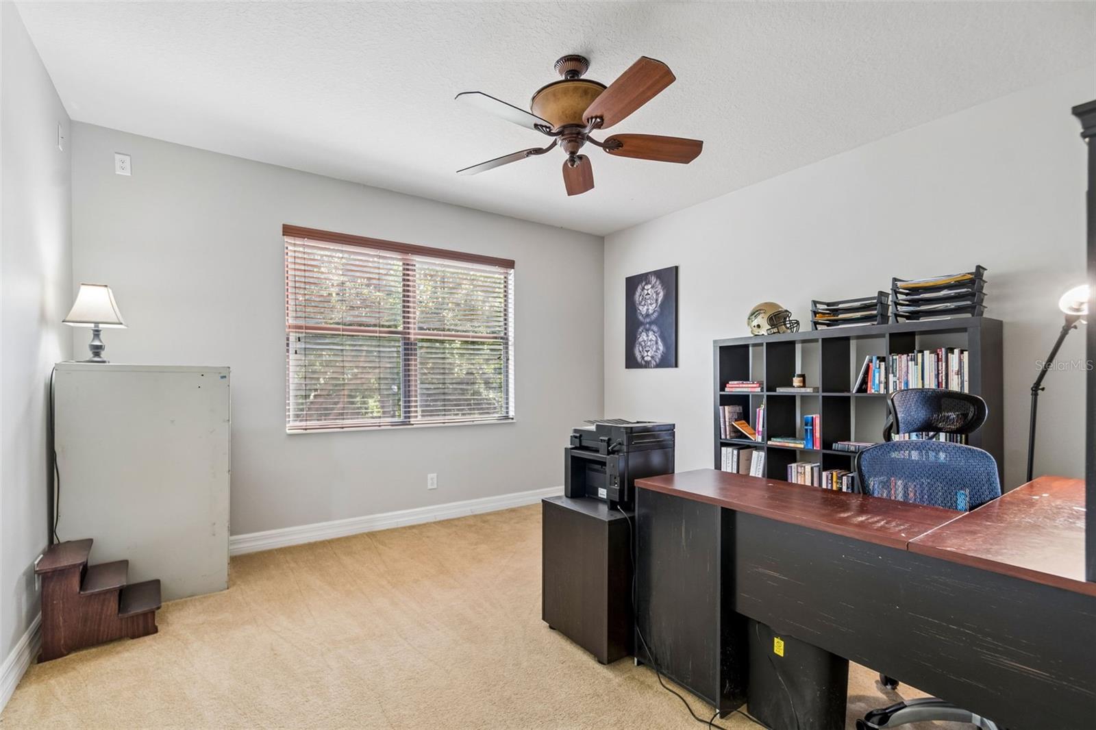 3654 BALLASTONE DR, LAND O LAKES, FL, 34638