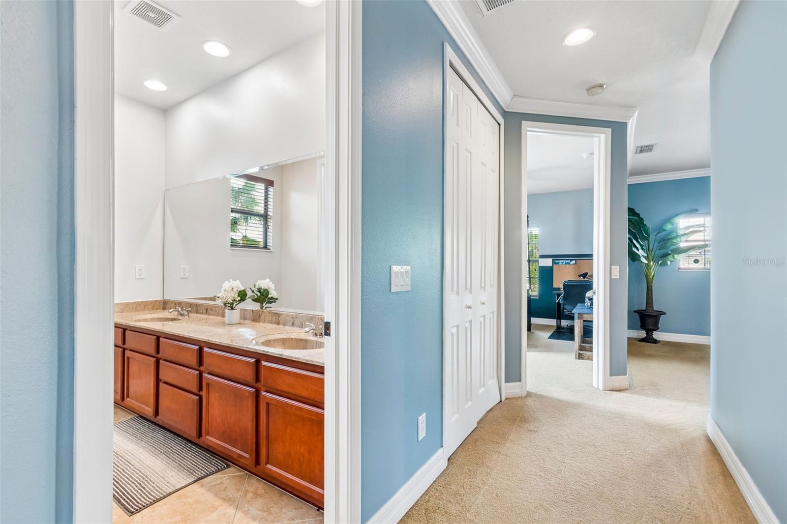 3654 BALLASTONE DR, LAND O LAKES, FL, 34638