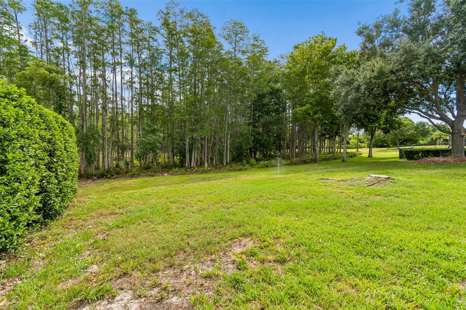 3654 BALLASTONE DR, LAND O LAKES, FL, 34638