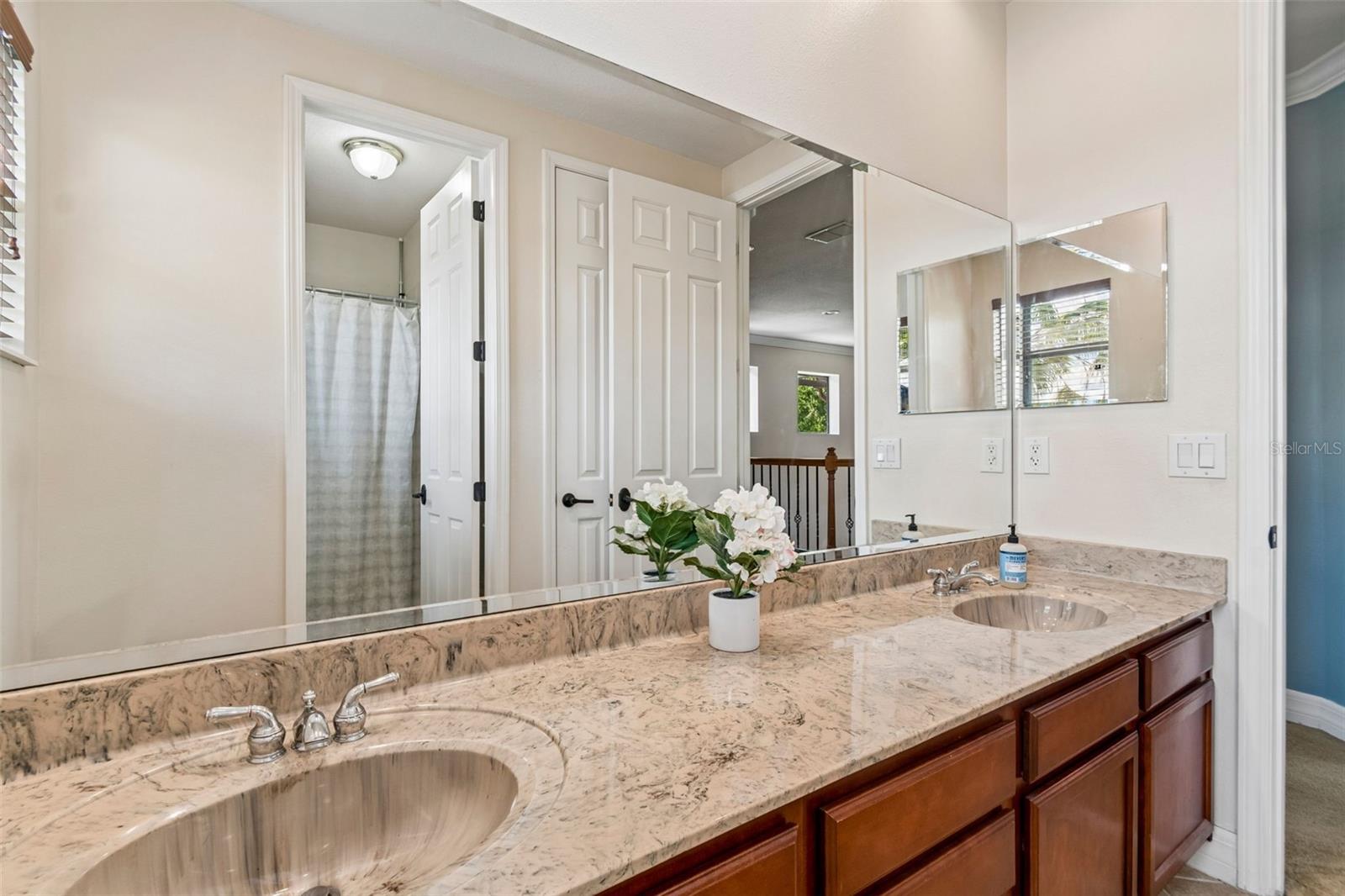 3654 BALLASTONE DR, LAND O LAKES, FL, 34638