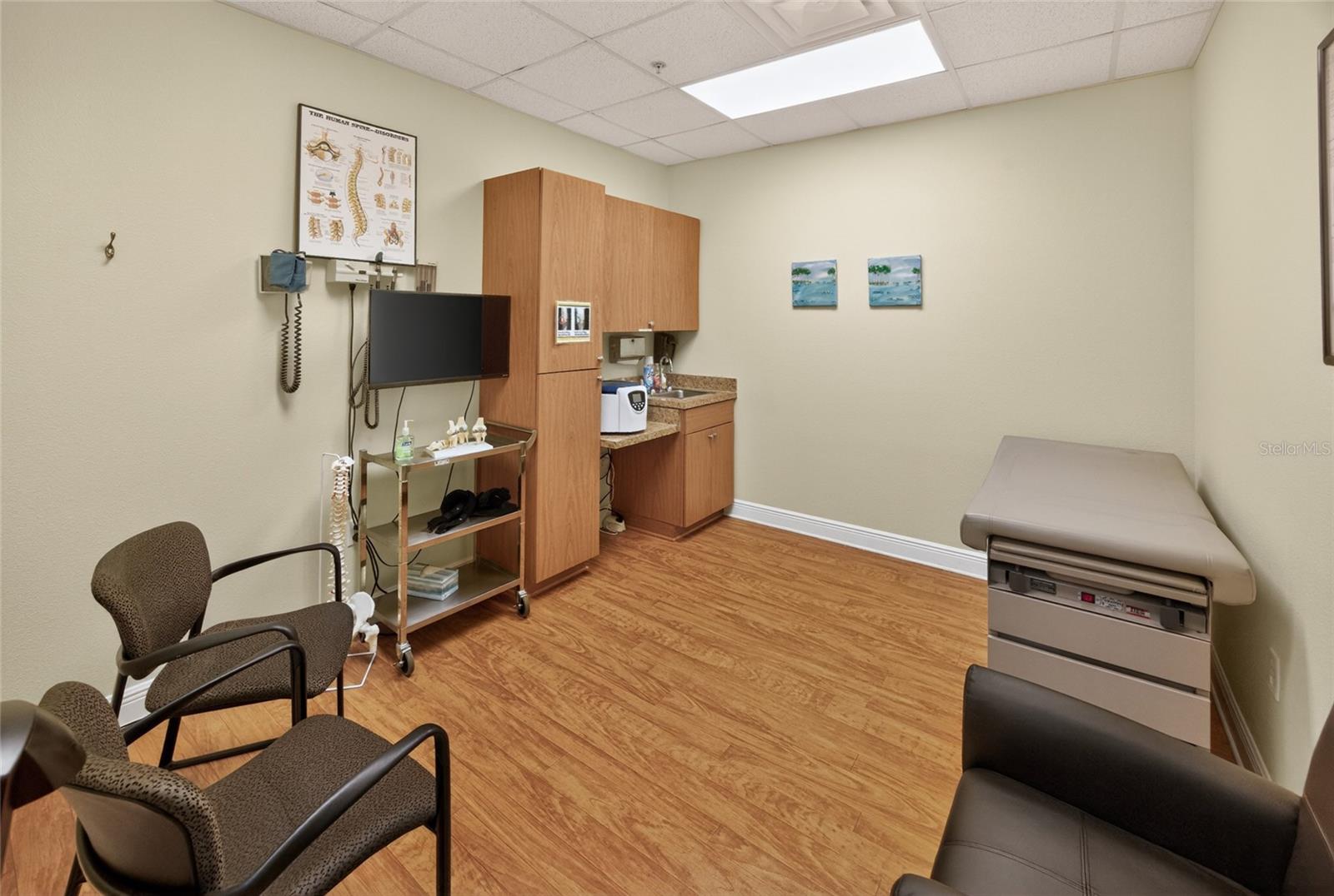 733 COUNTY ROAD 466, LADY LAKE, FL, 32159