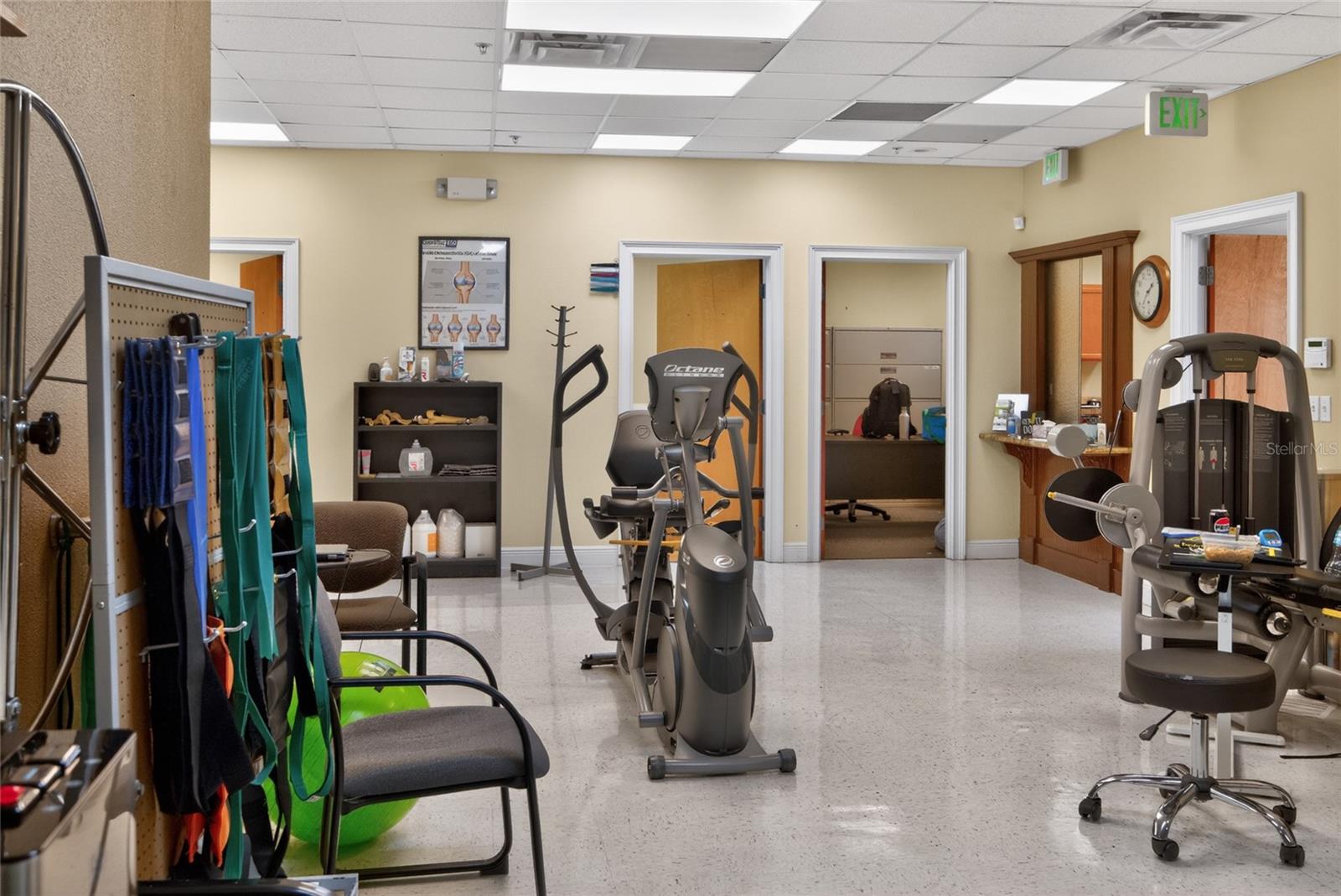 733 COUNTY ROAD 466, LADY LAKE, FL, 32159