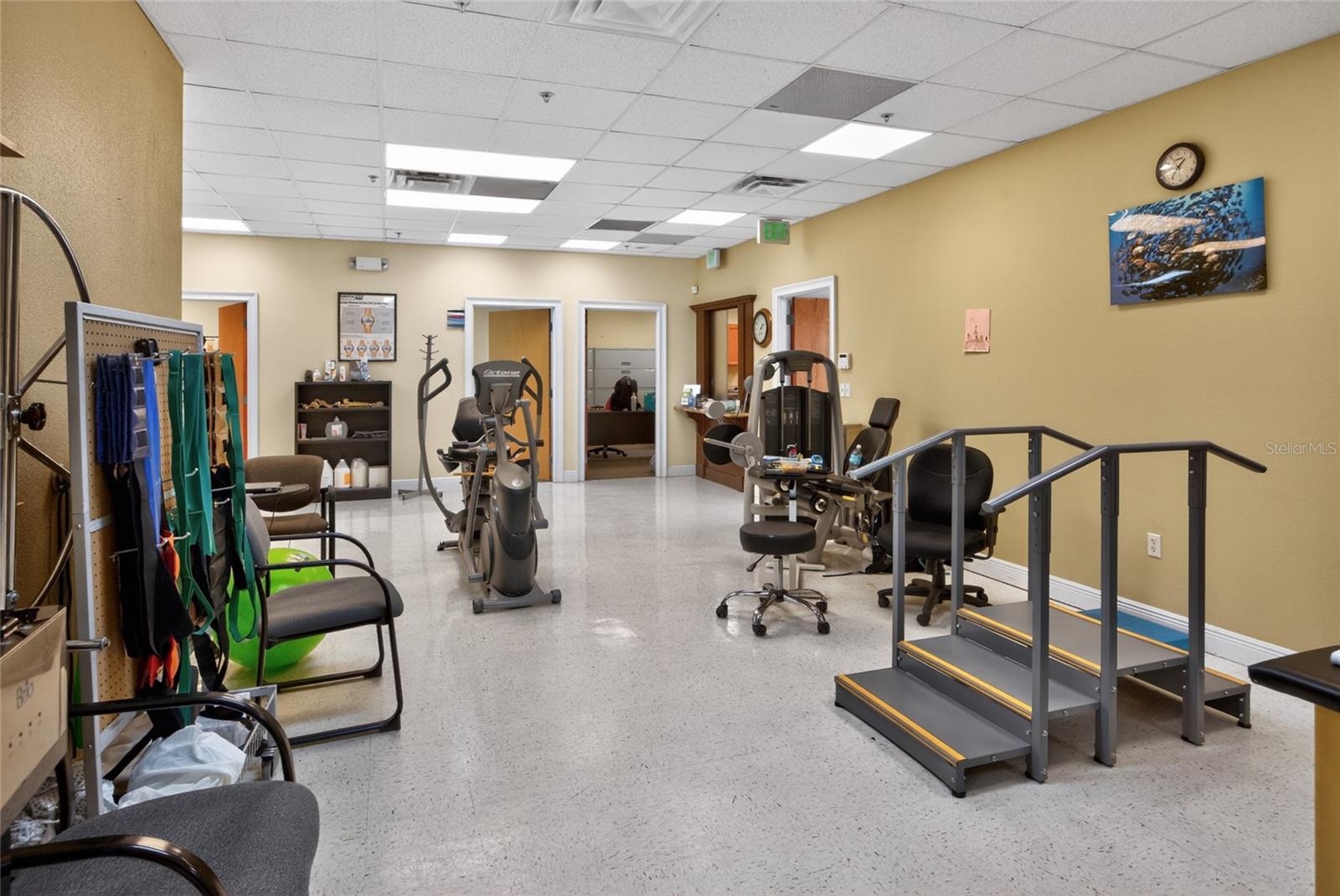733 COUNTY ROAD 466, LADY LAKE, FL, 32159