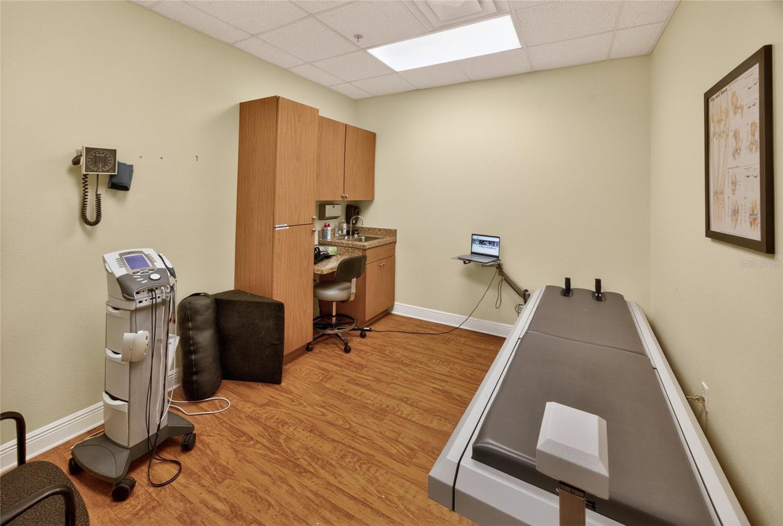 733 COUNTY ROAD 466, LADY LAKE, FL, 32159