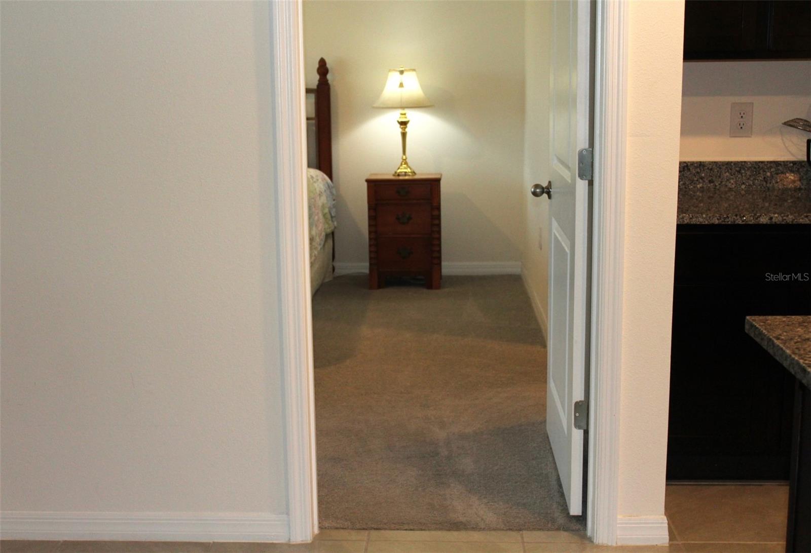 810 WILL SCARLETT AVE, RUSKIN, FL, 33570