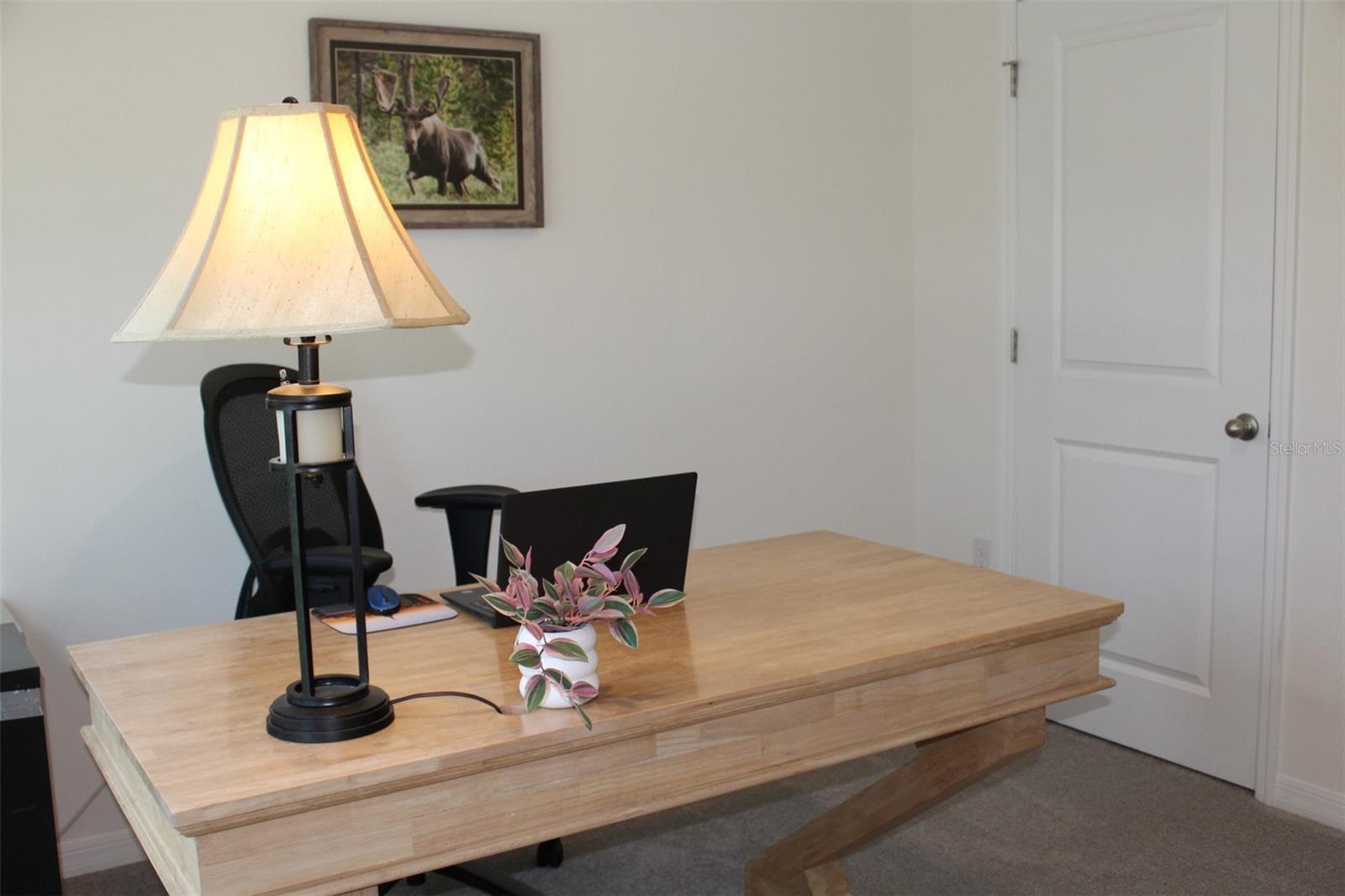 810 WILL SCARLETT AVE, RUSKIN, FL, 33570