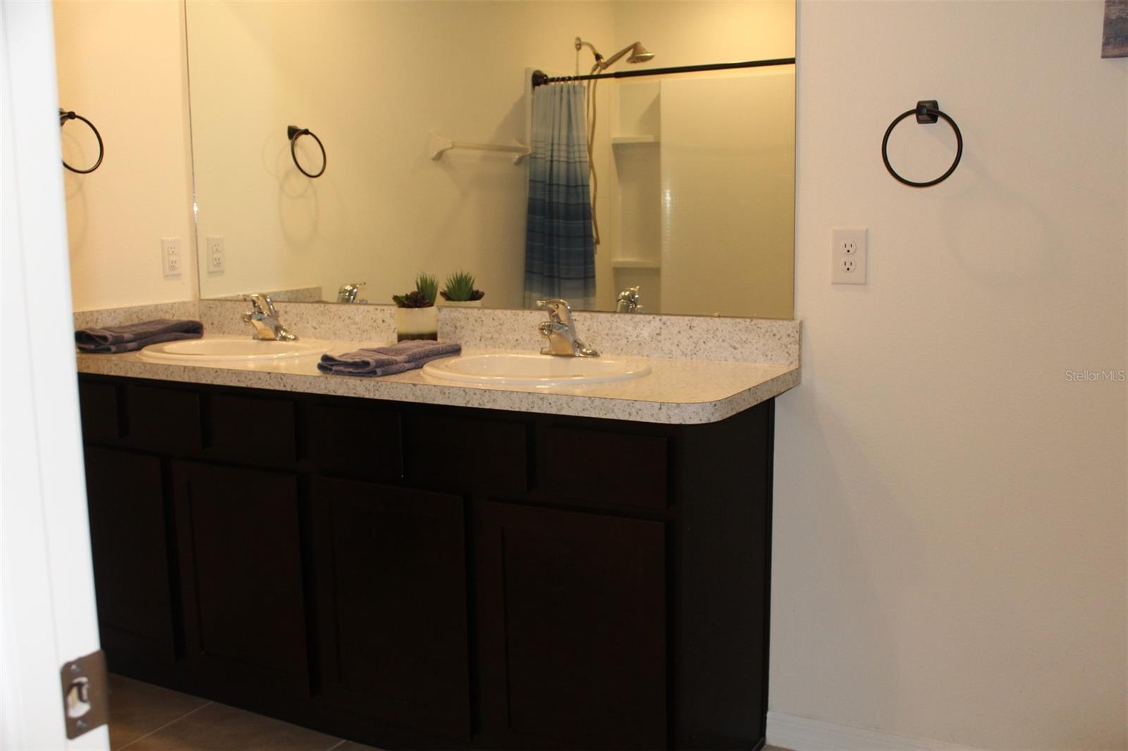 810 WILL SCARLETT AVE, RUSKIN, FL, 33570