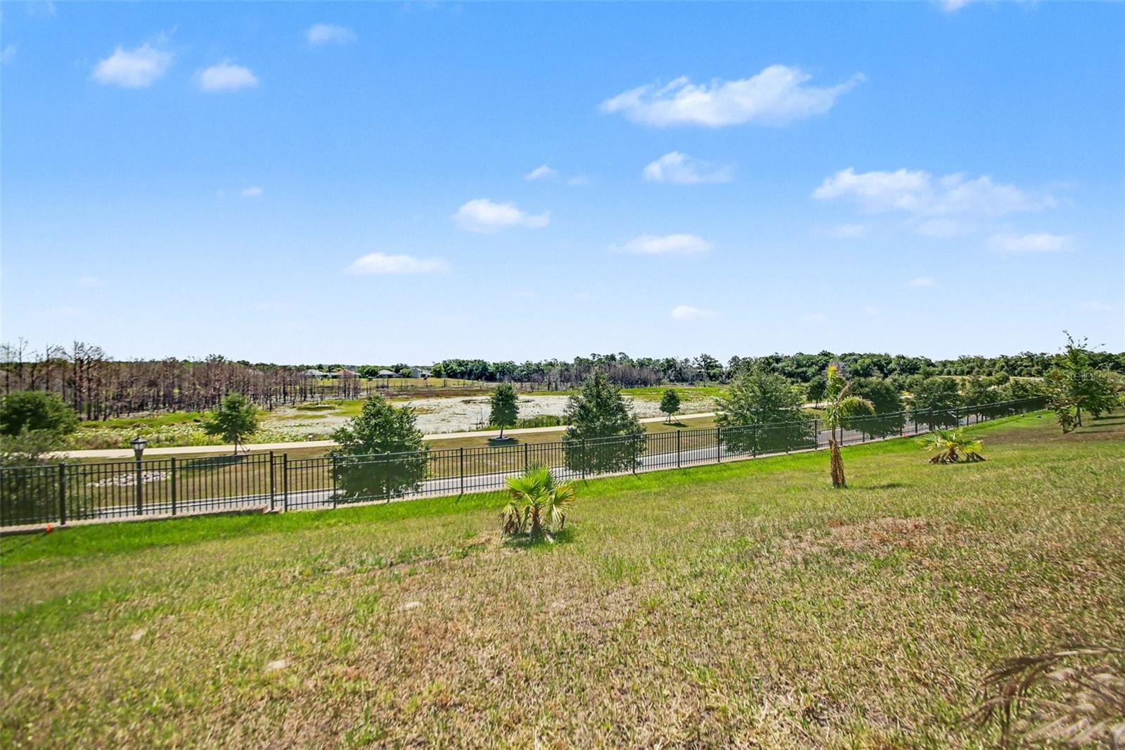 6079 CLAYSTONE WAY, MOUNT DORA, FL, 32757