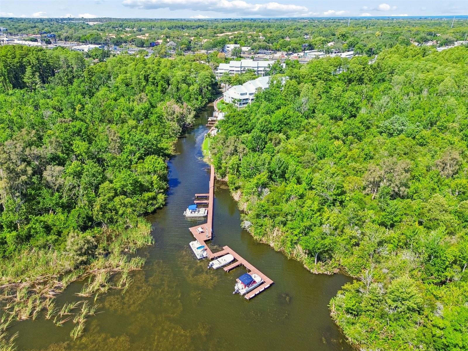 2533 DOLLY BAY DR #101, PALM HARBOR, FL, 34684