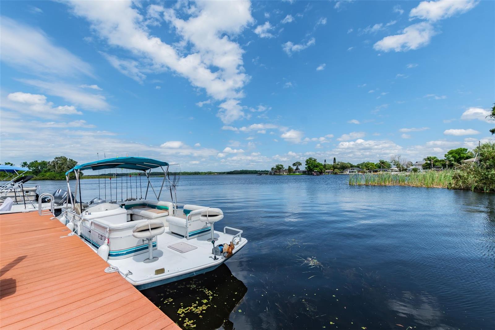 2533 DOLLY BAY DR #101, PALM HARBOR, FL, 34684